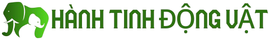 Hành Tinh Động Vật
